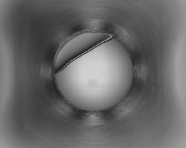 X0000111530564200907211247