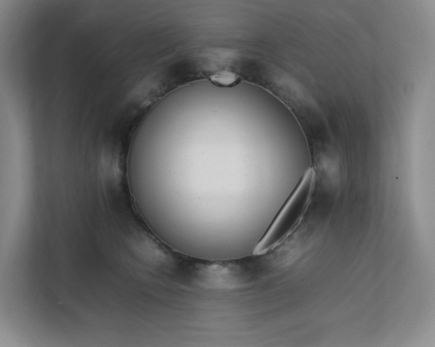 X0000111530566200907211247