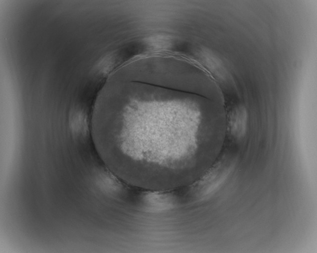 X0000111530568200907211247