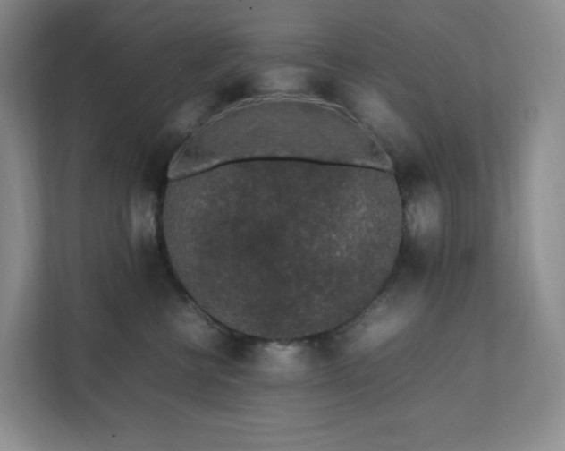 X0000111530570200907211247