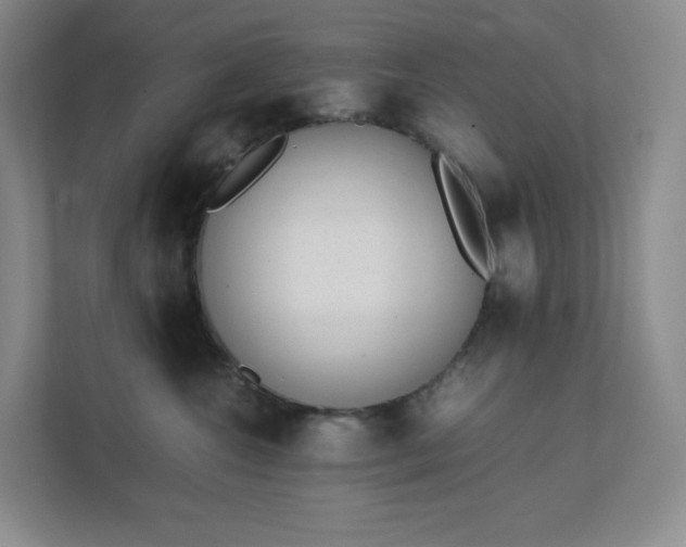 X0000111530572200907211247