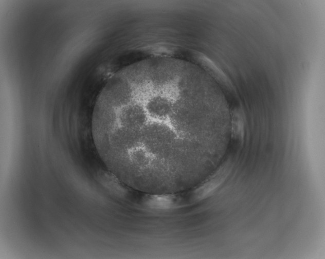 X0000111530573200907211247