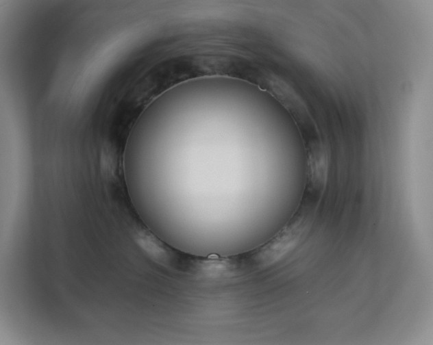 X0000111530574200907211247