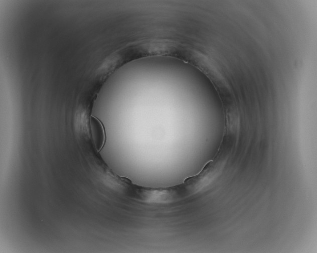 X0000111530575200907211247