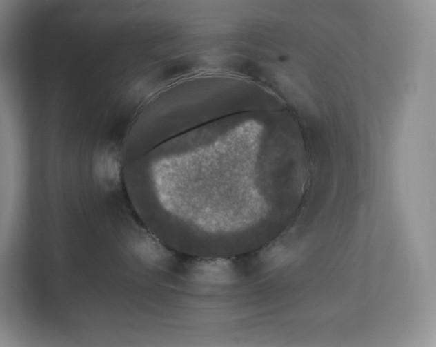 X0000111530576200907211247