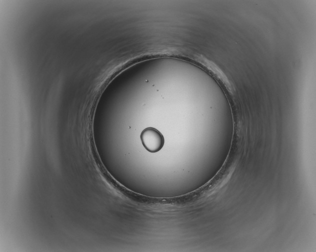 X0000111530577200907211246