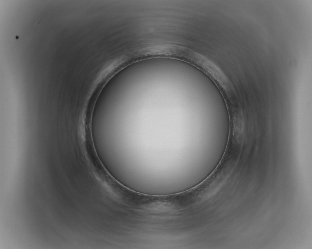 X0000111530578200907211246