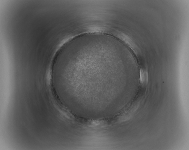 X0000111530579200907211246