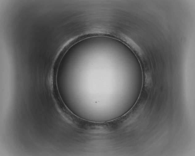 X0000111530580200907211246