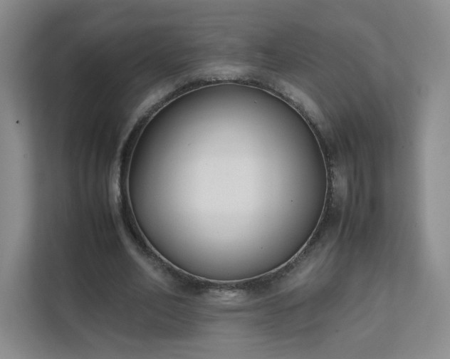 X0000111530582200907211246