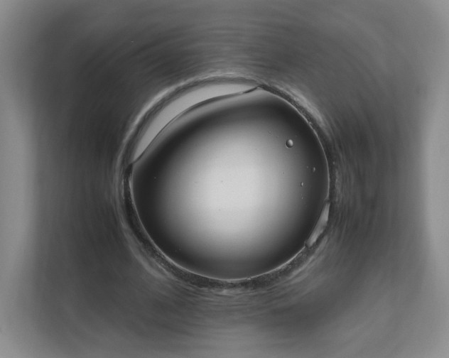 X0000111530584200907211246