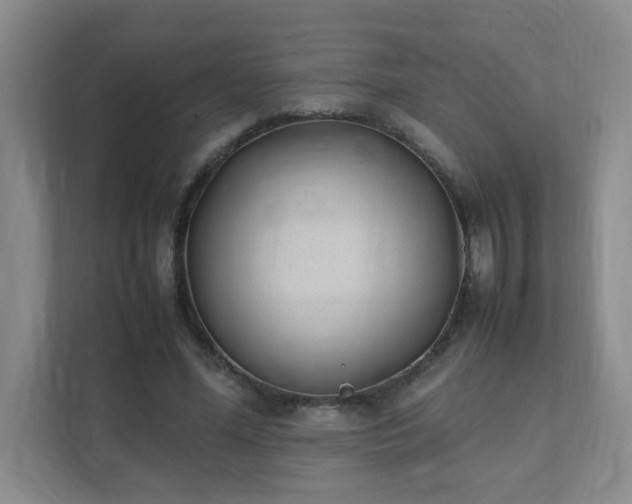 X0000111530588200907211246