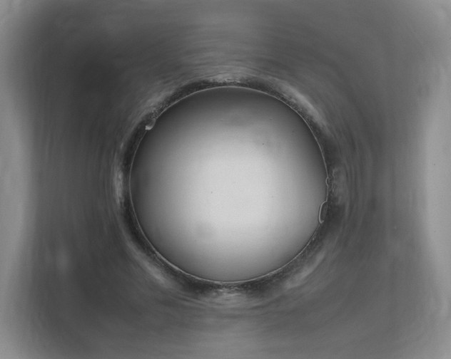 X0000111530589200907211246