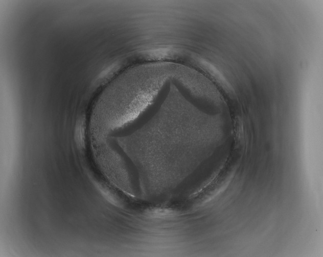 X0000111530590200907211246