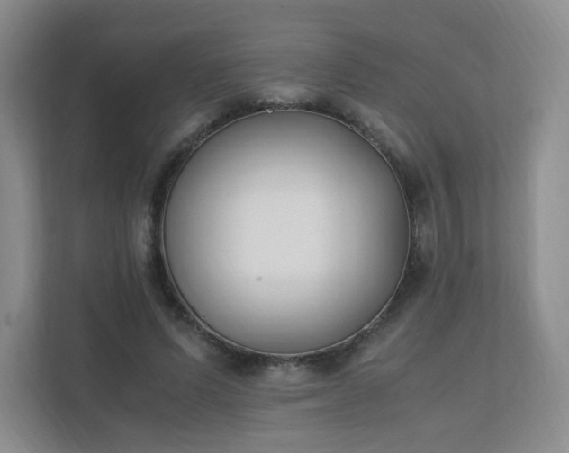 X0000111530591200907211246