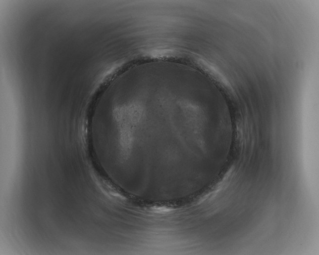 X0000111530592200907211246