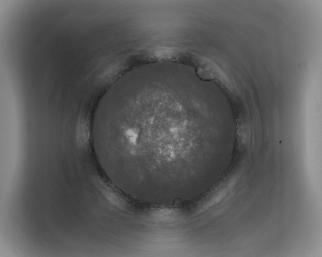 X0000111530593200907211246