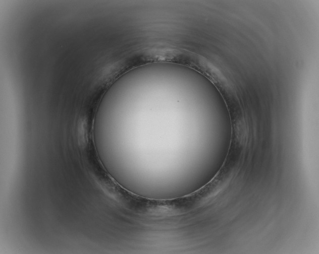 X0000111530594200907211246