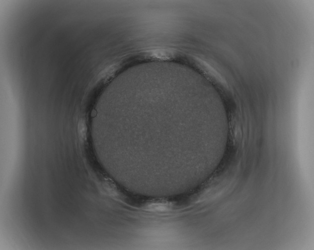 X0000111530595200907211246