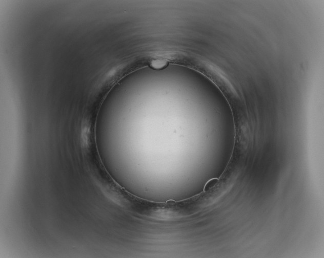 X0000111530596200907211246