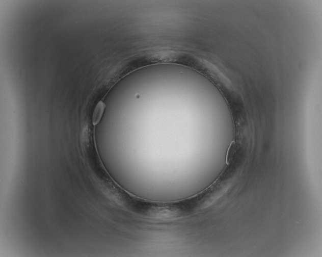 X0000111530597200907211246