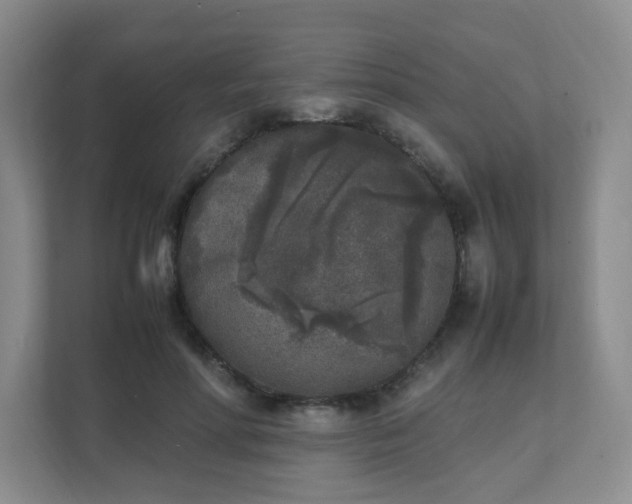 X0000111530598200907211246