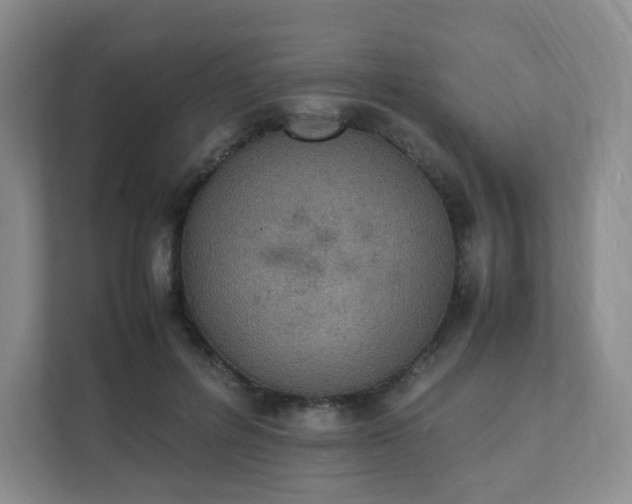 X0000111530600200907211246