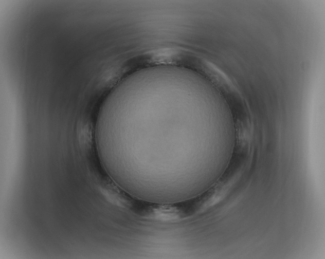 X0000111530603200907211246