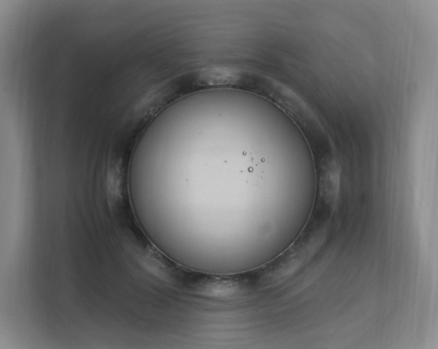 X0000111530604200907211246