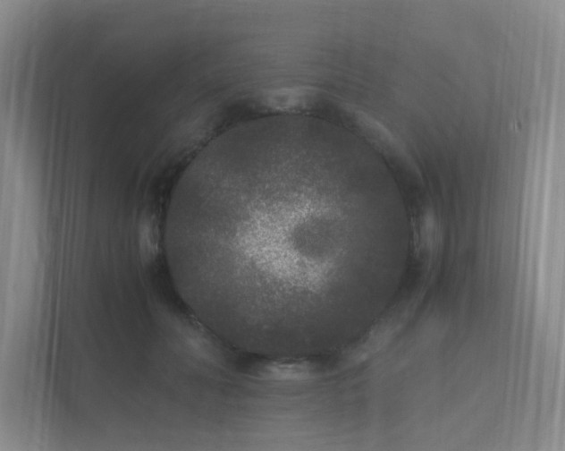 X0000111530606200907211246