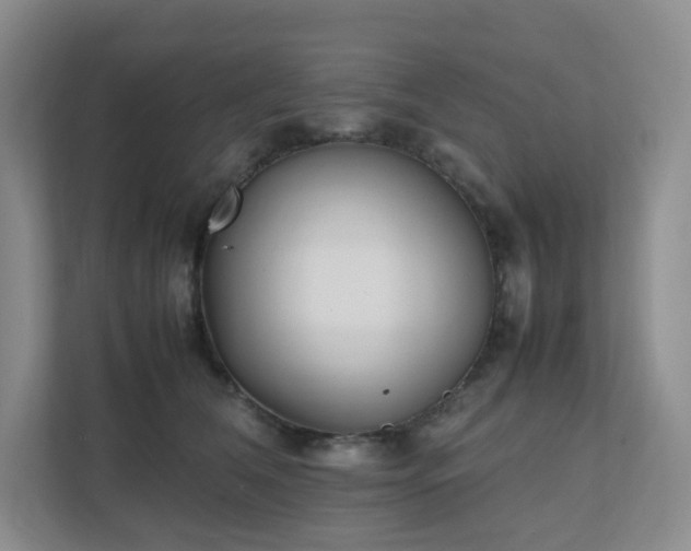 X0000111530612200907211246