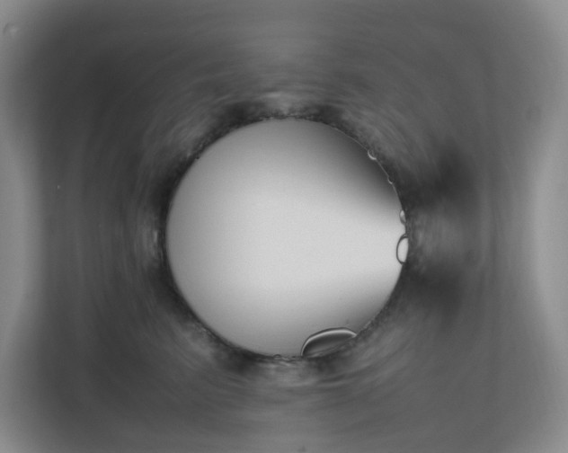 X0000111530615200907211246