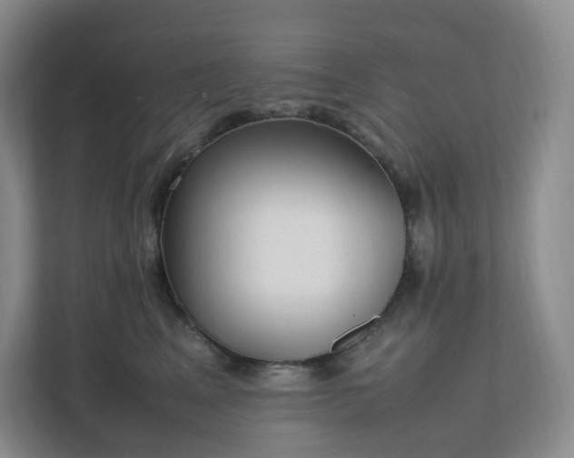 X0000111530617200907211246