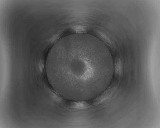 X0000111530618200907211246