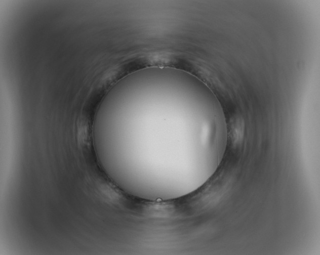 X0000111530619200907211246