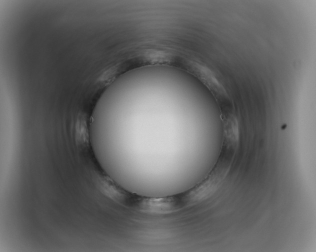 X0000111530622200907211246