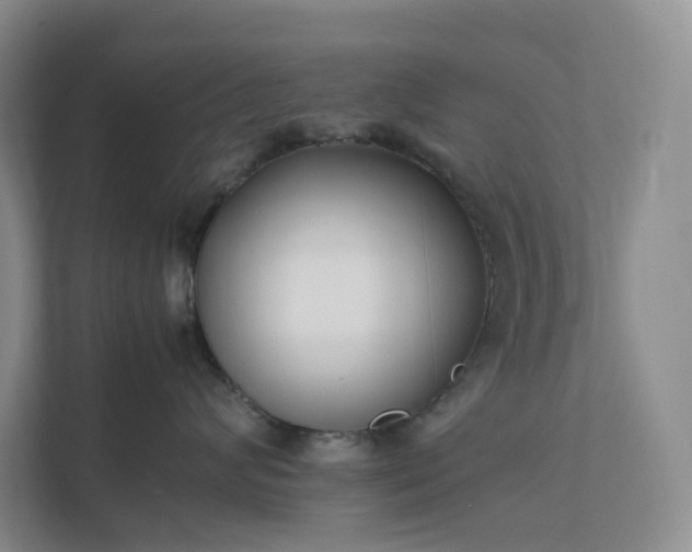 X0000111530624200907211246