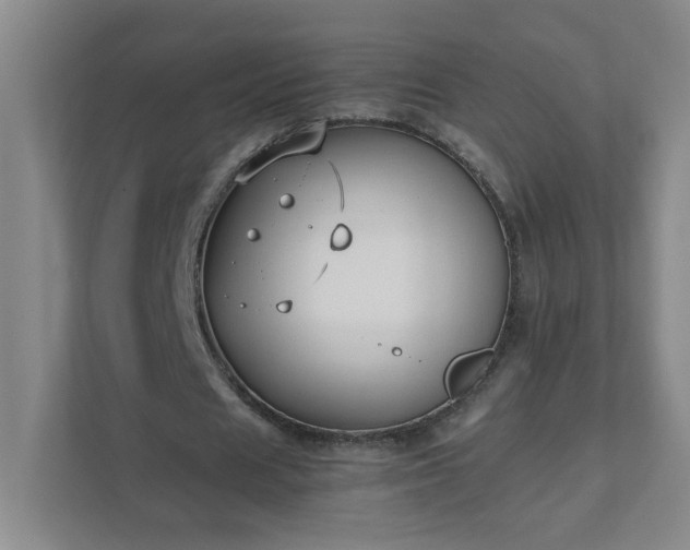 X0000111530625200907211245