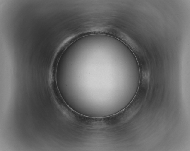 X0000111530628200907211245