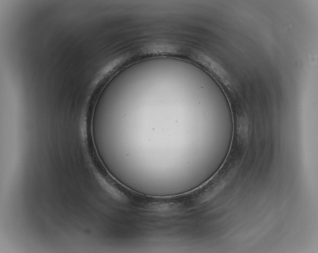 X0000111530629200907211245