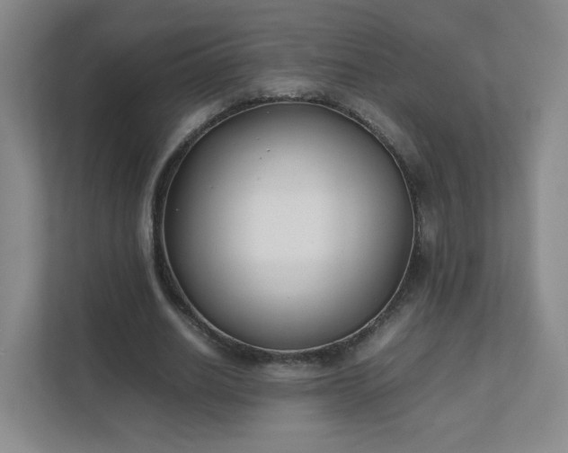 X0000111530630200907211245