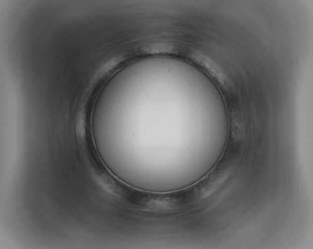 X0000111530631200907211245