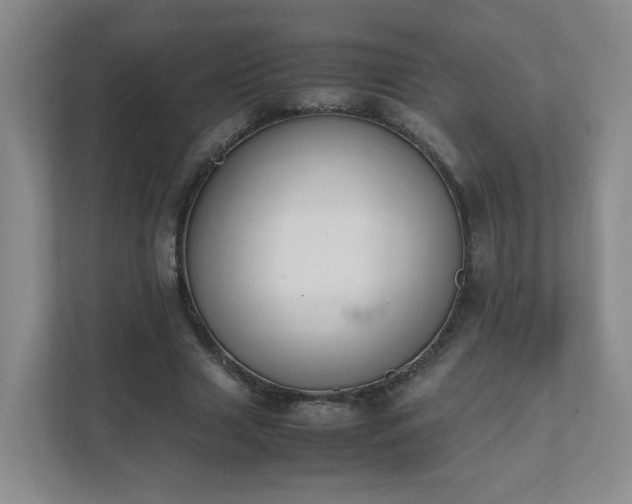 X0000111530633200907211245