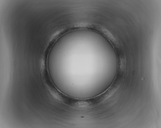 X0000111530636200907211245