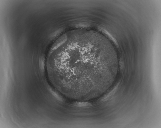 X0000111530637200907211245