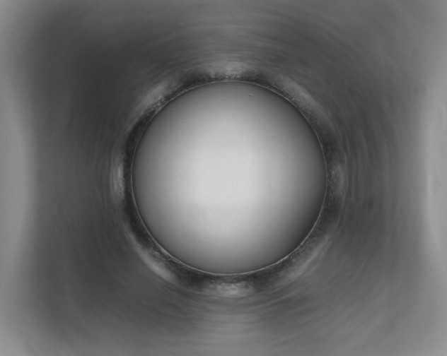 X0000111530638200907211245