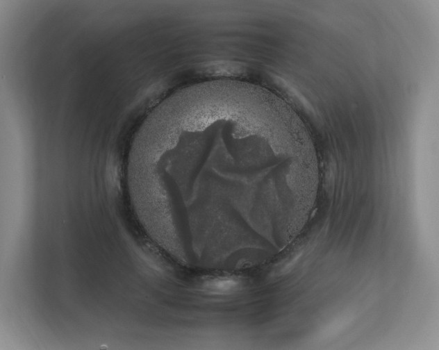 X0000111530643200907211245