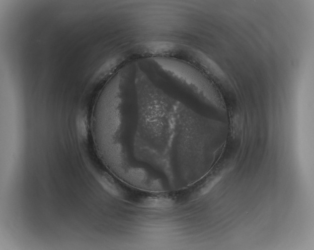 X0000111530644200907211245