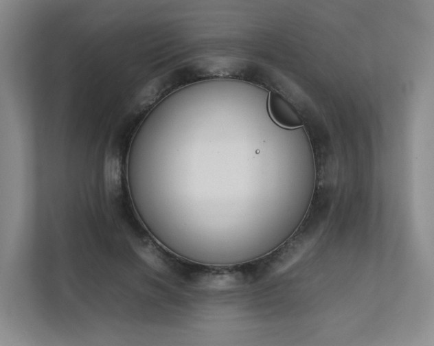 X0000111530646200907211245