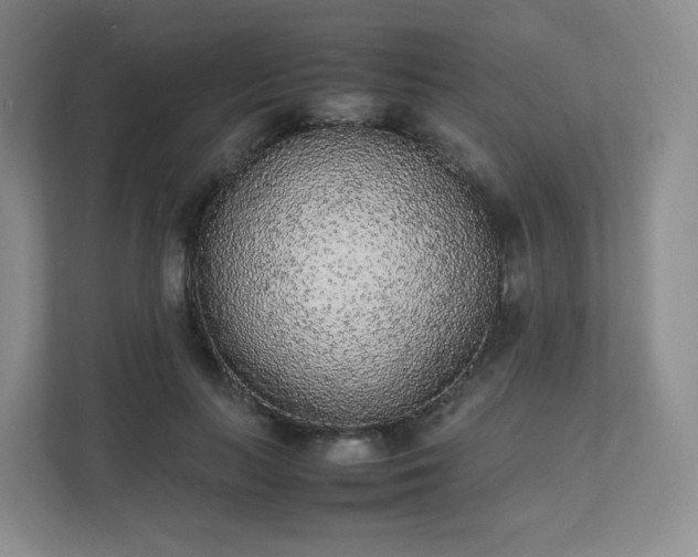 X0000111530647200907211245